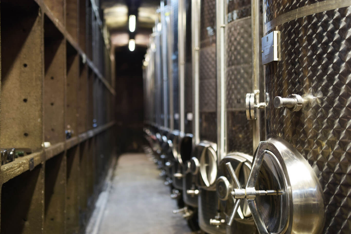 Wine cellar stainless steel tanks