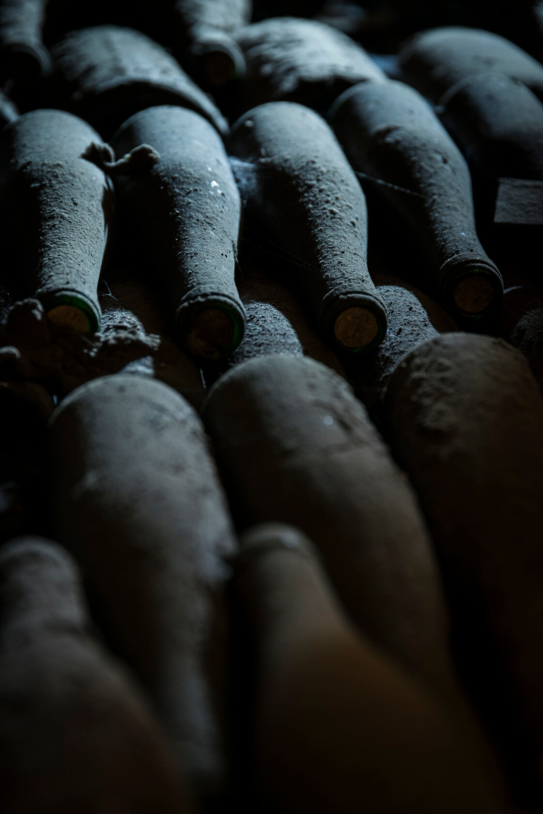 Wine cellar treasury wine bottles